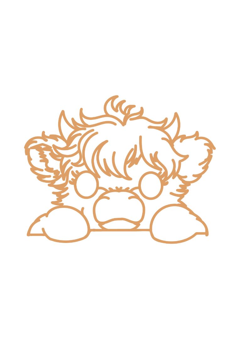 highland calf