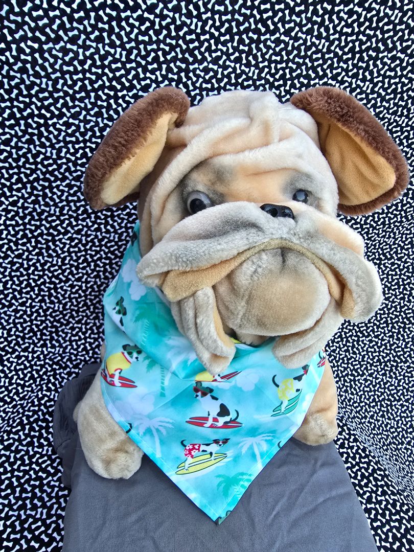Surfing Dog Bandana, One Size