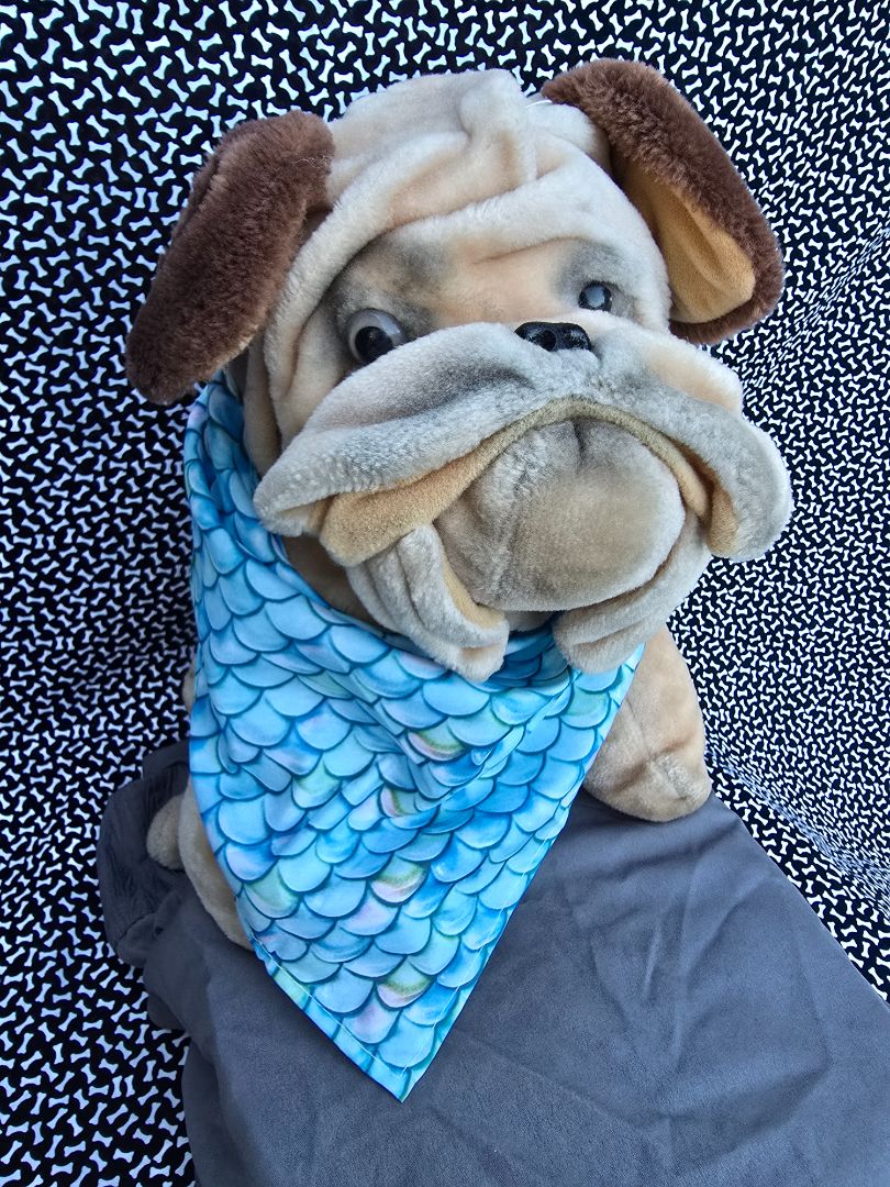 Fish Print Bandana, One Size