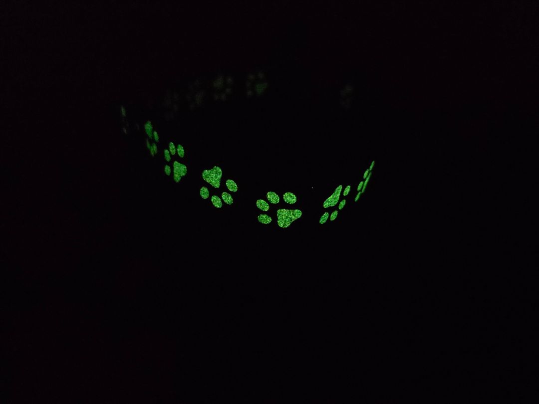 Teal Glow n Dark Collar, XLarge