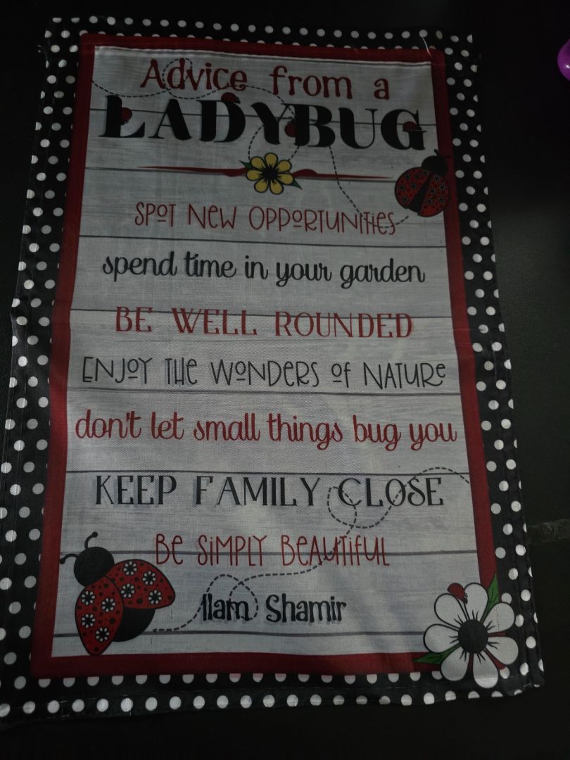 Garden Flag Advice from a lady bug
