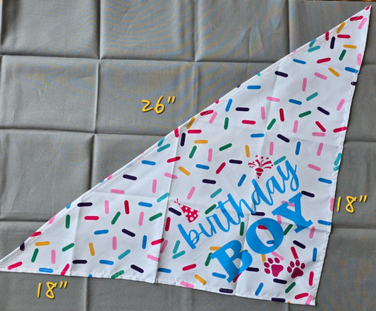 Birthday Boy  Bandana, One Size