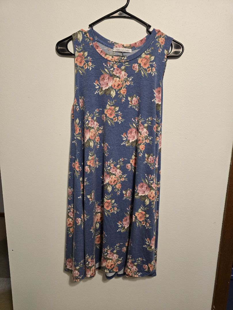 Blue Floral Chris & Carol Sleeveless Dress, Medium