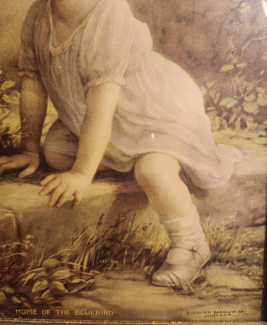 Vintage Print - Home of the Bluebird