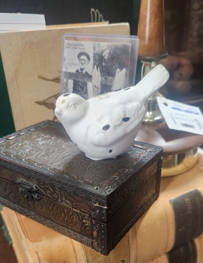Little White Bird