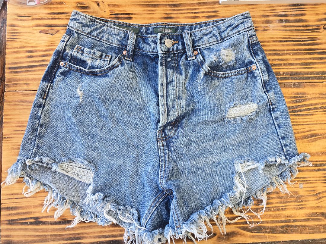 Blue Wild Fable Shorts, 8