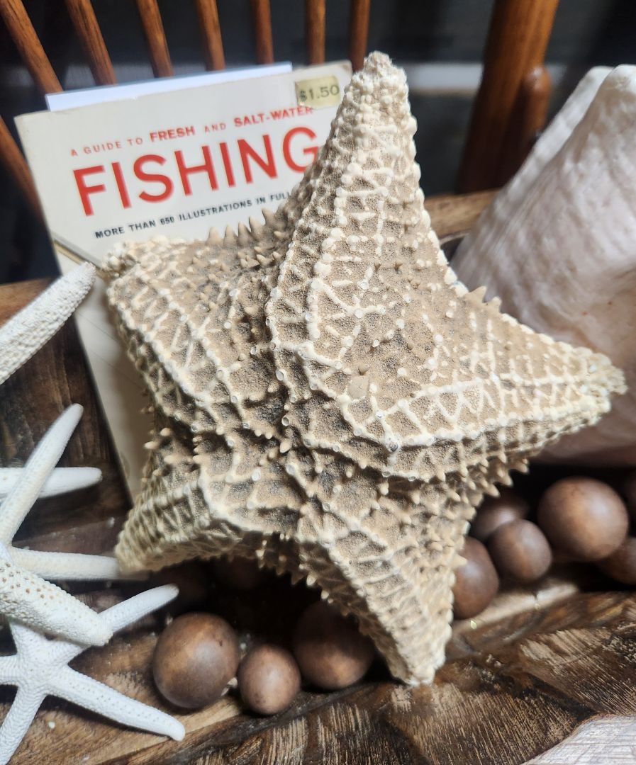 Large Star Fish vintage