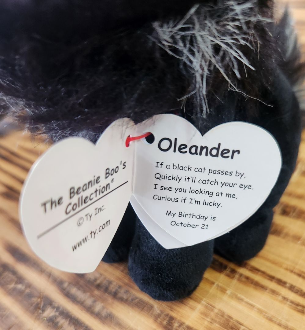 Halloween Decor Oleander Black Cat, DCH Family LLC
