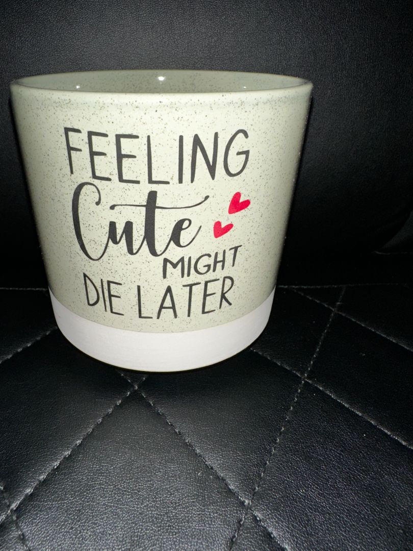 Flower Pot Feeling Cute Might Die Later, Designed Locally