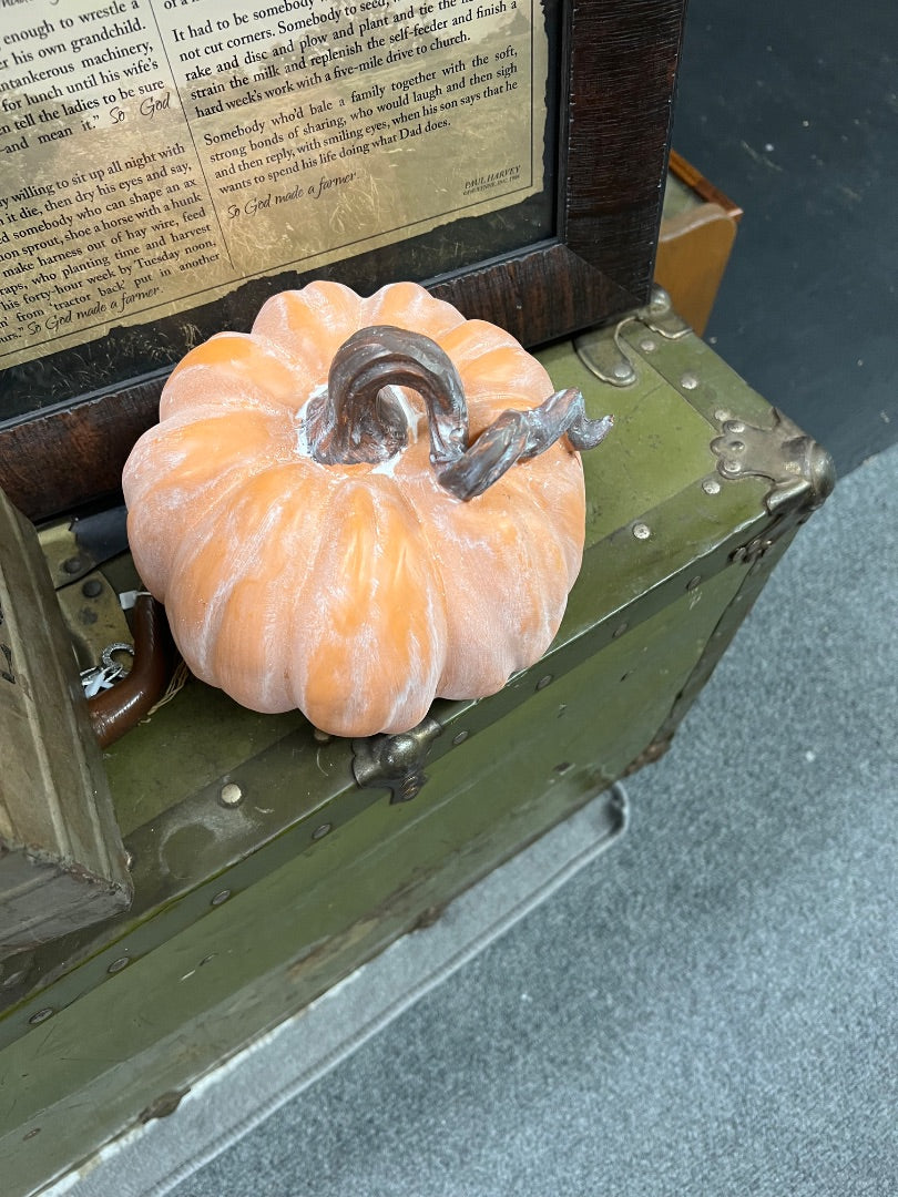 Sm orange pumpkin