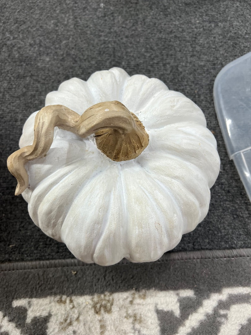 Med White Pumpkin