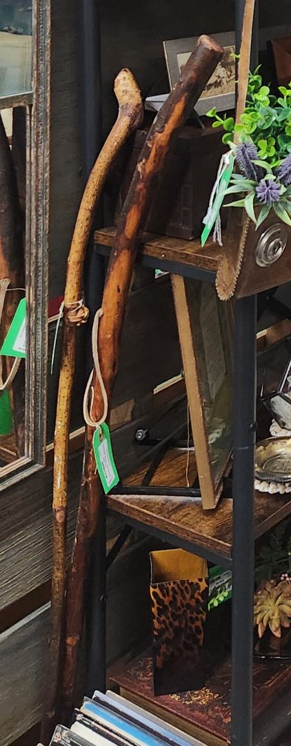 Vintage Walking Stick