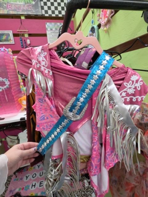 Leg avenue Costume, L,Pink multi, Pixie’s Bizarre Bizaar