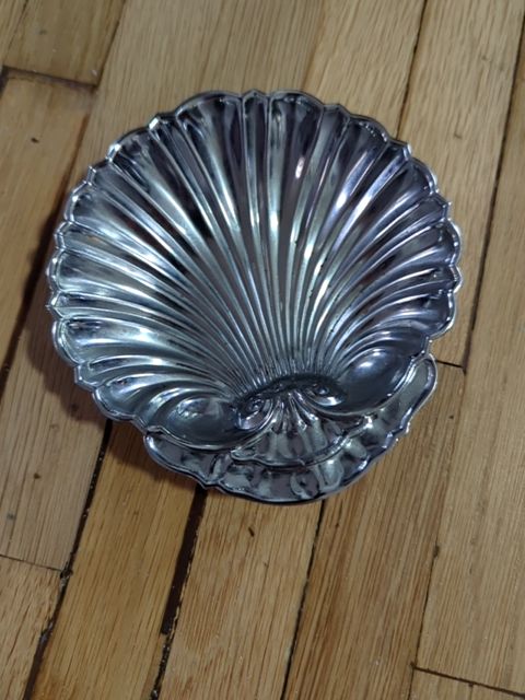 Silver shell