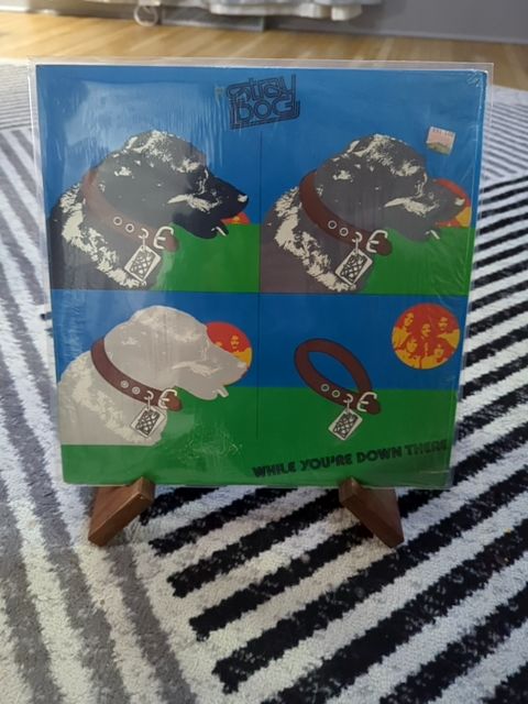 Vinyl Stray Dog – Whole You’re Down There