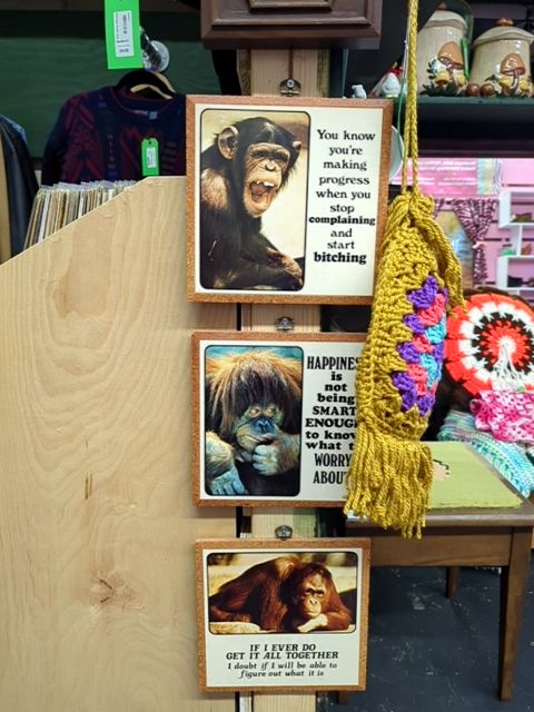 Chimp Signs