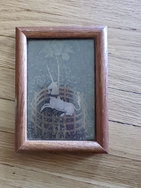 Unicorn Framed Art