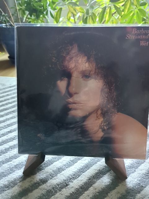 Vinyl Barbara Streisand wet