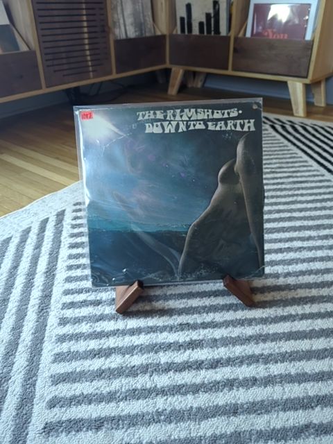 Vinyl The Rimshots down to earth