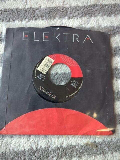 Vinyl The Beach Boys 45