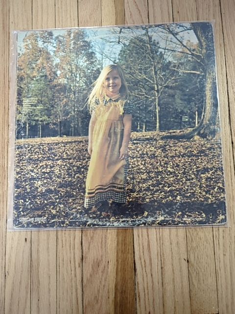 Vinyl The Allman Brothers band brothers and sisters vinyl