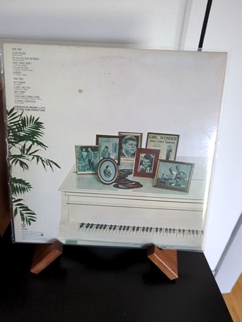 Vinyl Shaun Cassidy born late vinyl