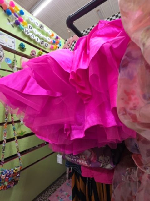 Balera Costume, Pink,XXL, Pixie’s Bizarre Bizaar