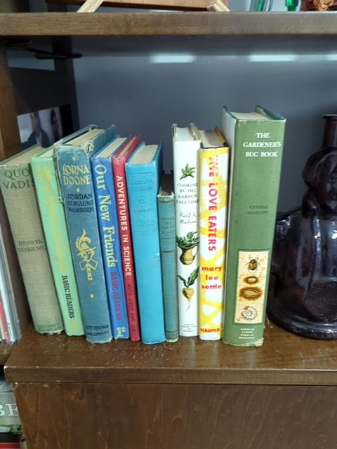 Vintage Book