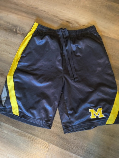 Navy- Michigan Stadium Shorts, Medium