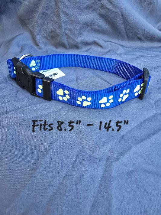 Royal Blue Glow n Dark  Collar, Large
