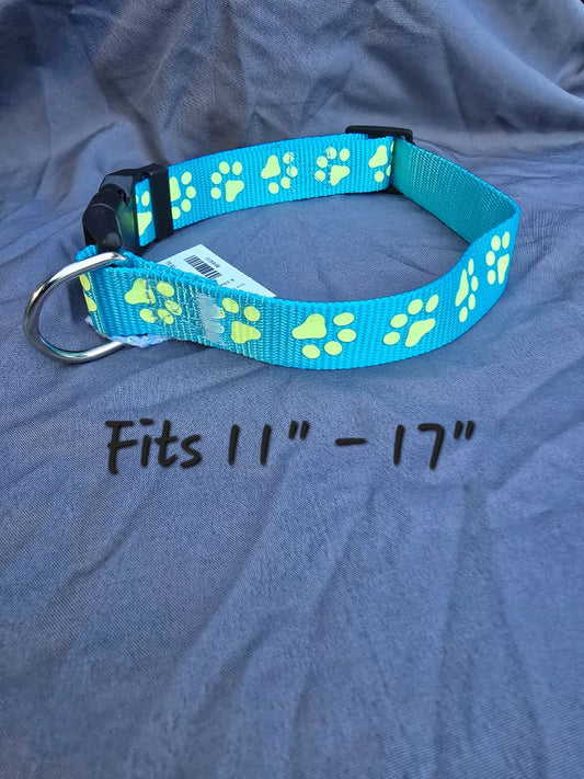 Teal Glow n Dark  Collar, XLarge