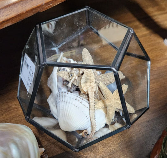 Home Decor -Leaded Glass Terrarium w/Vintage Shells & Seahorse