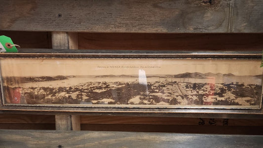 French Panoramic Picture - Framed 1900's