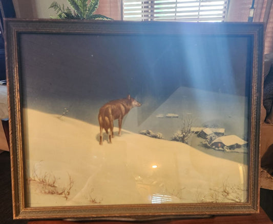 Vintage Framed Lone Wolf Print
