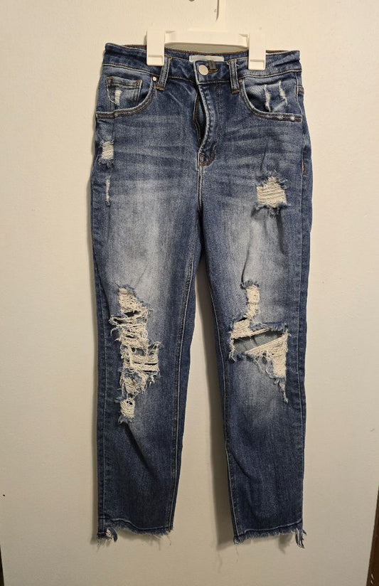 Blue Risen Jeans Jeans, 5/27