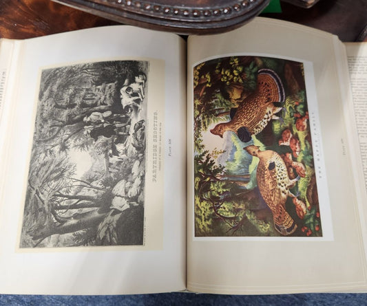 Book- Vintage Currier & Ives