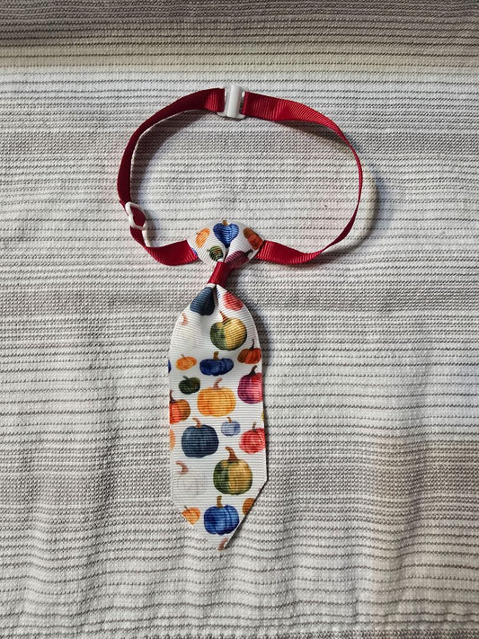 Multi-Color Pumpkin  5" Adjustable Tie