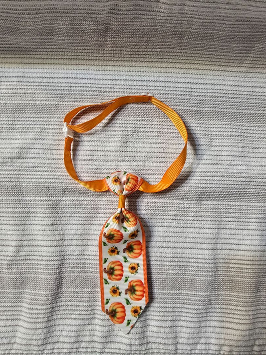 White Pumpkin  5" Adjustable Tie