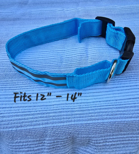 Reflective Blue  Collar, Medium