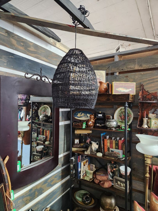 NEW - Hanging Light