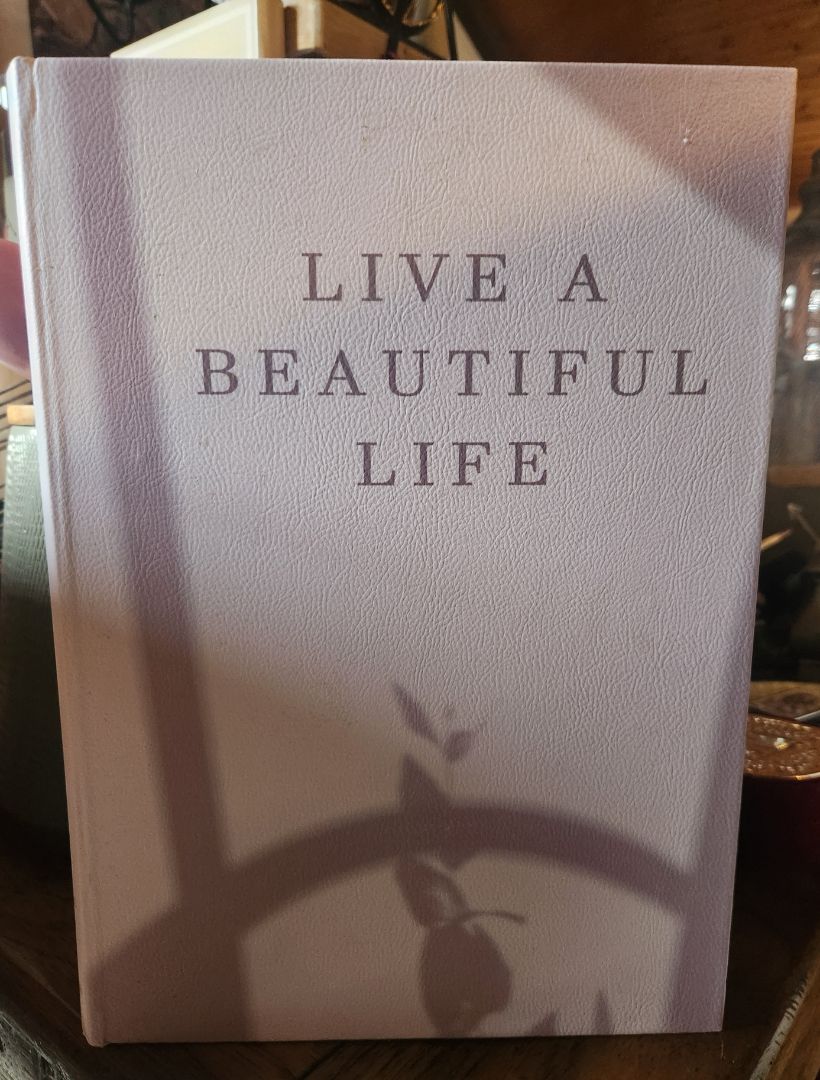 Faux Book - XL