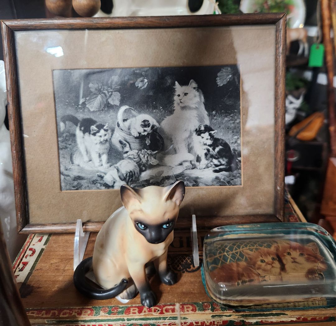 Vintage Framed Print "Cats at Play"