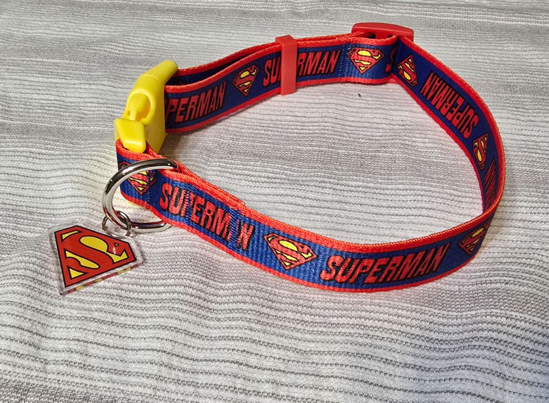 Blue Superman Collar, Large