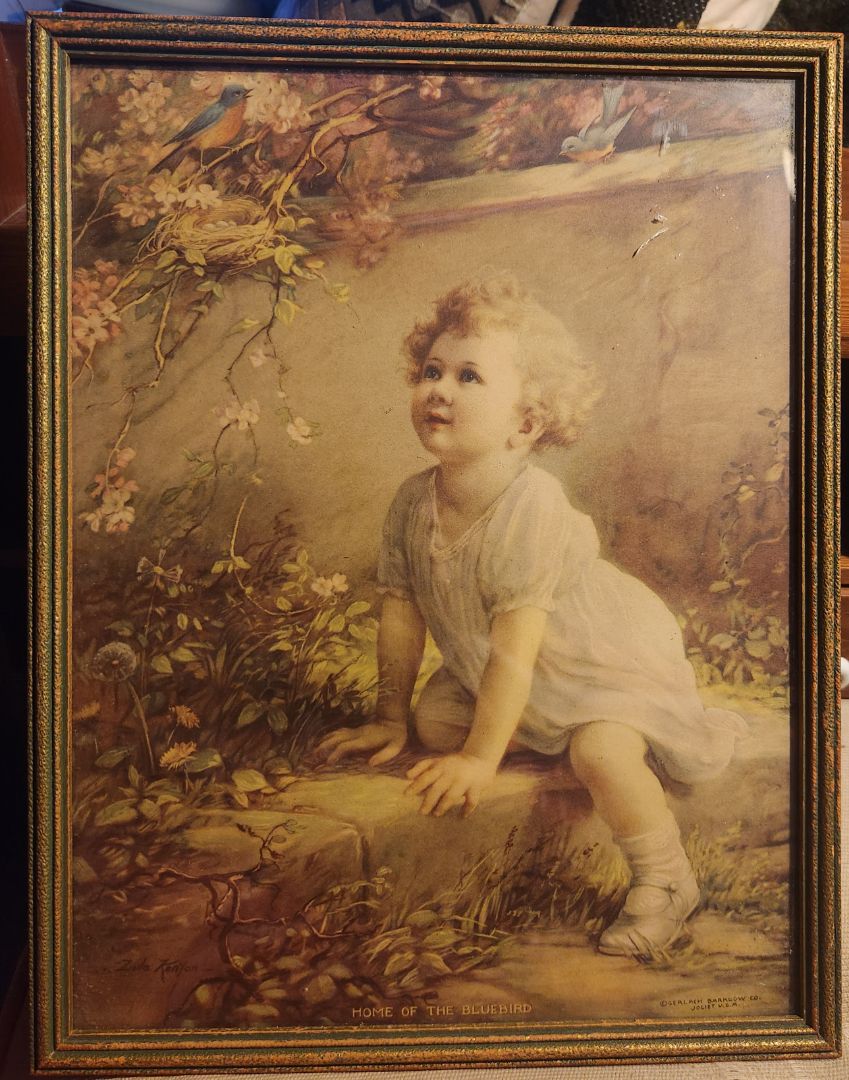 Vintage Print - Home of the Bluebird