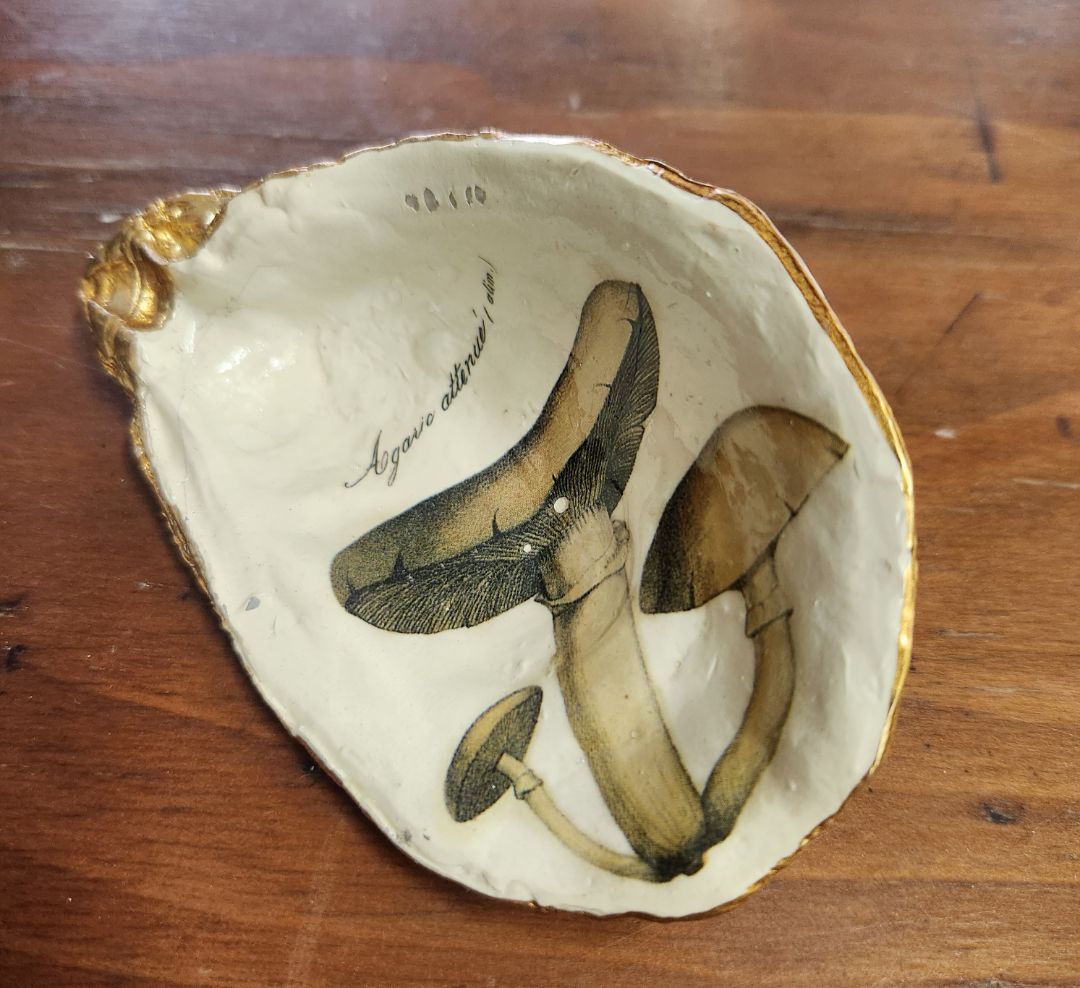 Painted Oyster Shell