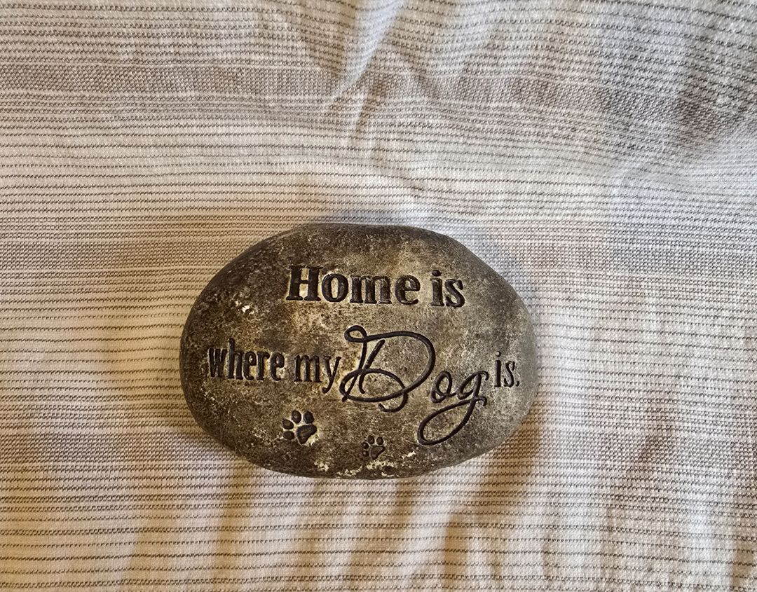 Gray Rock  Home Is Where Dog Is