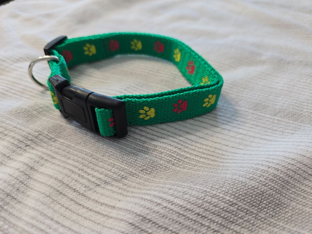 Green- Red/Yellow Paws  Collar, Medium