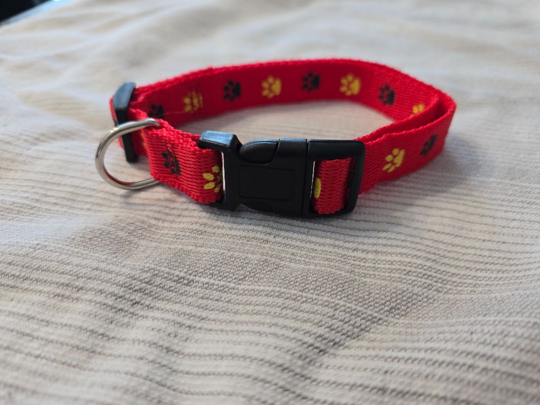 Red- Black/Yellow Paws  Collar, Medium
