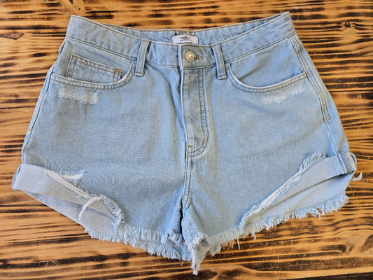 Light Blue Forever 21 Shorts, 28