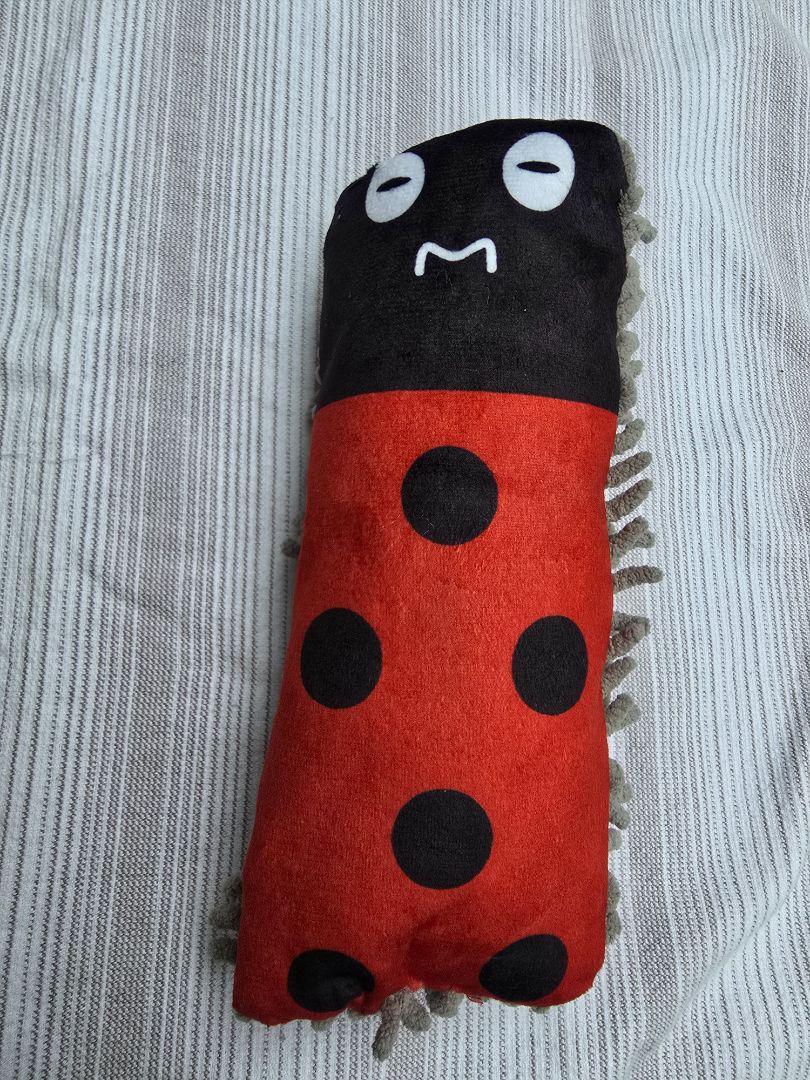 Black/Red  Ladybug Dog Toy